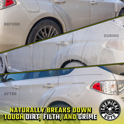 CITRUS WASH & GLOSS CONCENTRATED CAR WASH (16 OZ)