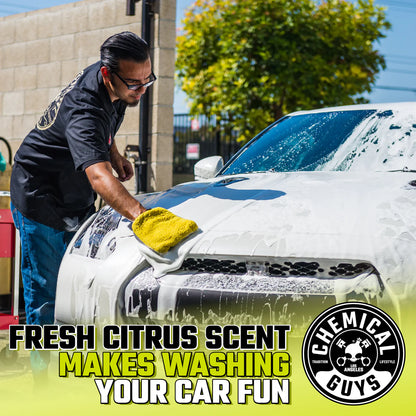CITRUS WASH & GLOSS CONCENTRATED CAR WASH (16 OZ)