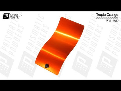 Tropic Orange Haas Designs Emblem